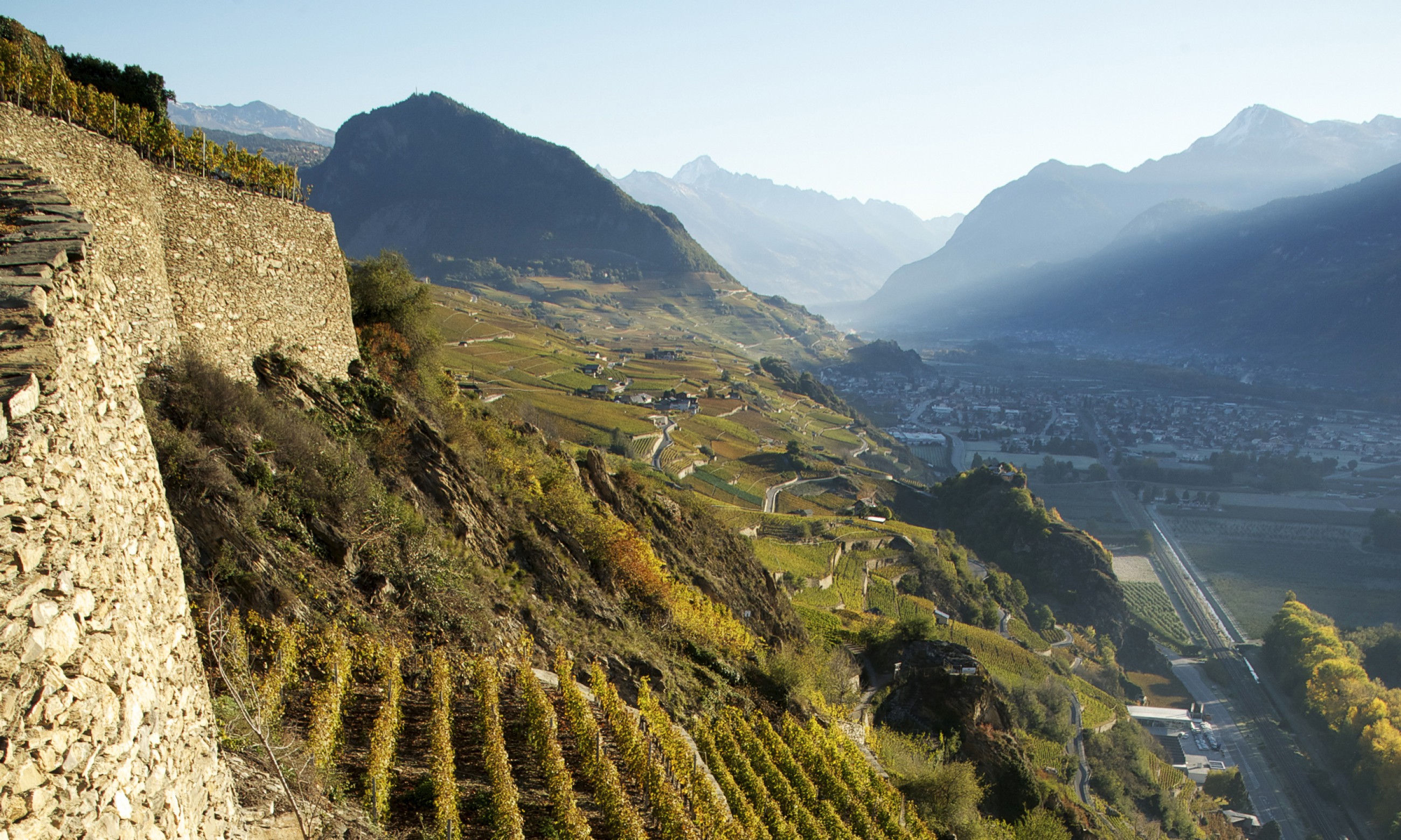 Walliser Newcomer-Wein