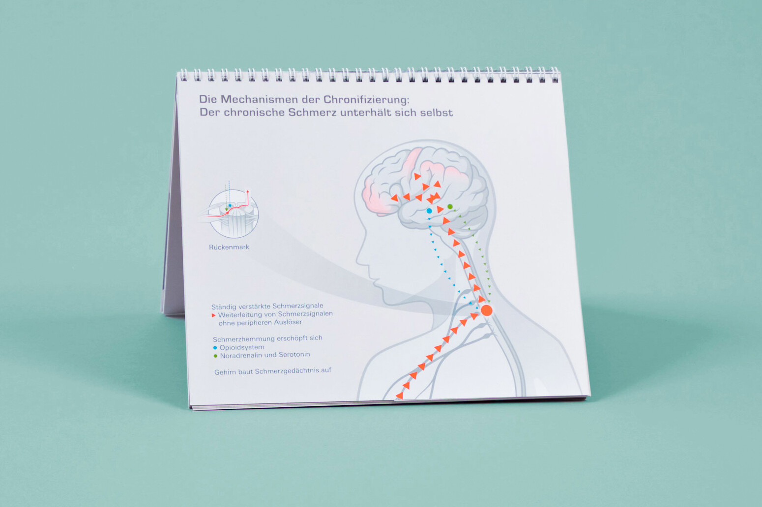 Flip Folder mit Illustration zum Thema chronischer Schmerz