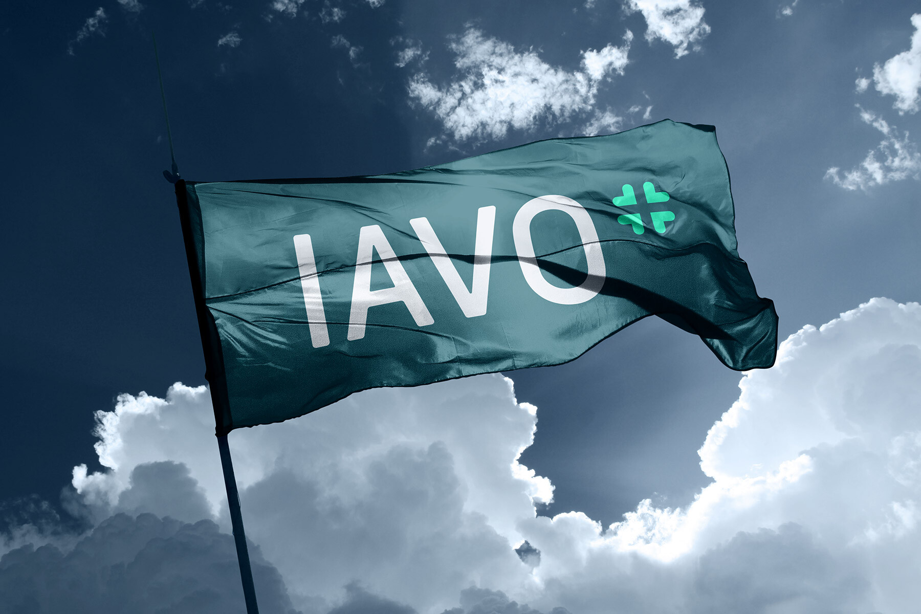 IAVO Fahnen