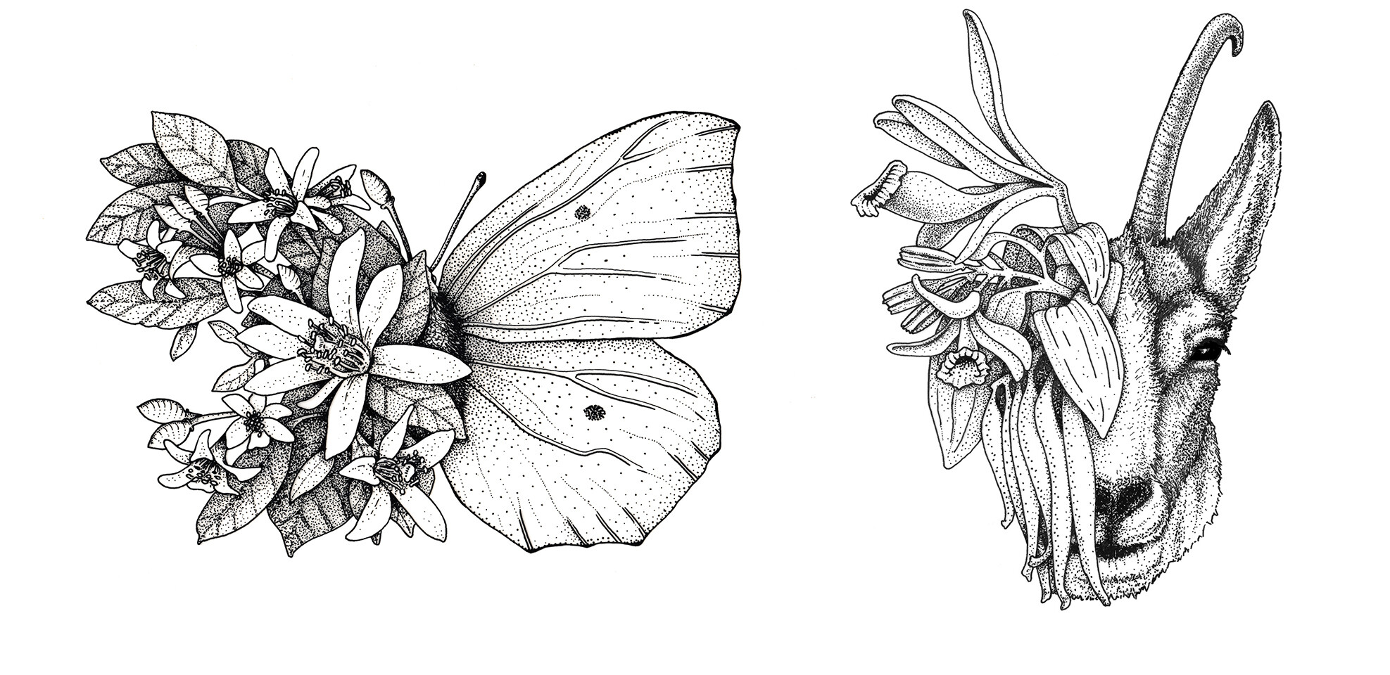 Illustrationen