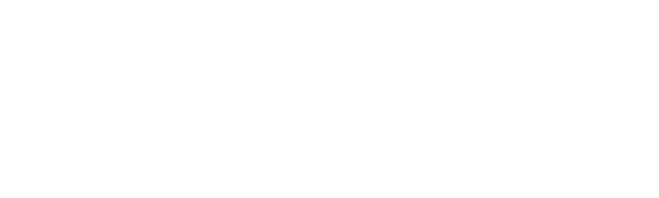 SV Group