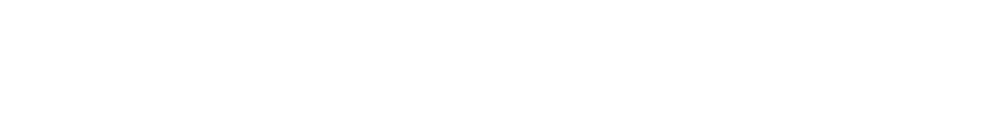 Birkhäuser