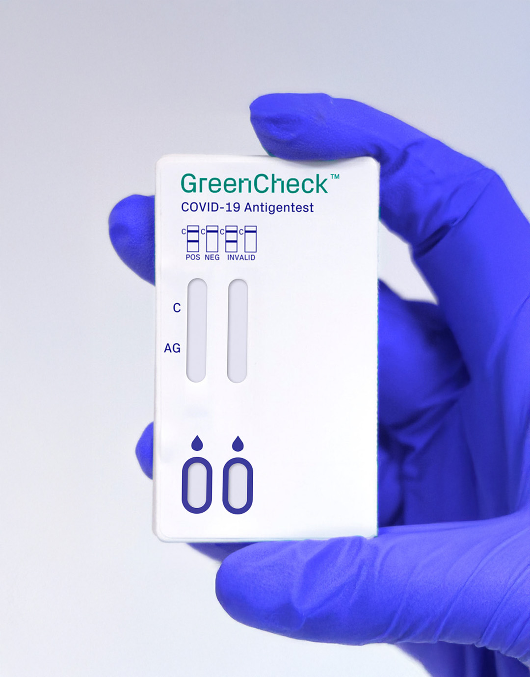 GreenCheck lateral flow Test gehalten von einer Hand mit blauen Handschuhen