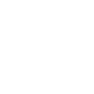 Protzek